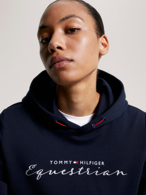 metallischer-logo-hoodie-desert-sky