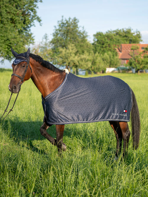windsor-light-dry-th-printed-abschwitzdecke-desert-sky