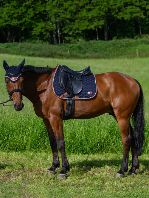 princeton-dressage-saddlepad-desert-sky