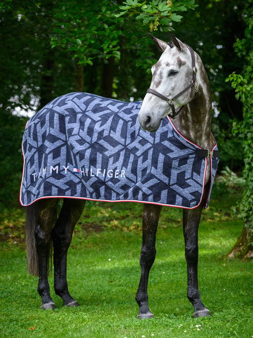 th-performance-cooler-blanket-dralon-th-monogram-desert-sky