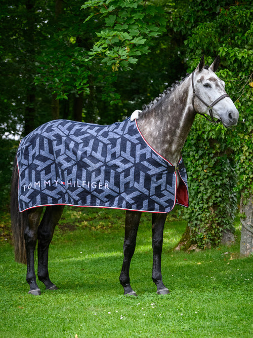 th-performance-cooler-blanket-dralon-th-monogram-desert-sky