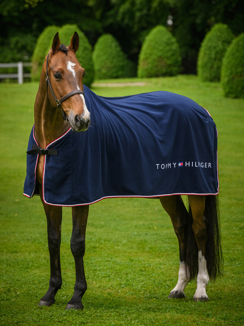 th-statement-cooler-blanket-alpha-fleece-unicolor-desert-sky